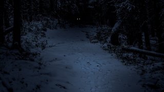 Téli Napforduló kirándulás - ingyenes program