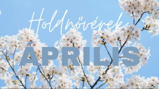 🧘‍♀️ Hold-kör Holdnővér tagság április